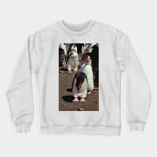 Royal Penguins on the Beach at Macquarie Island Crewneck Sweatshirt